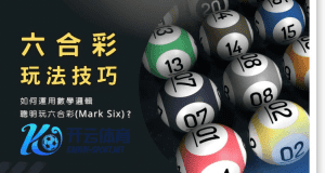 emc易倍网站彩票六合彩玩法 - 投注技巧